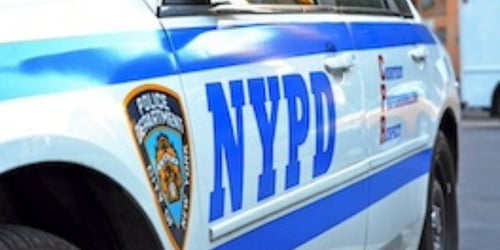 A Police Work Partnership